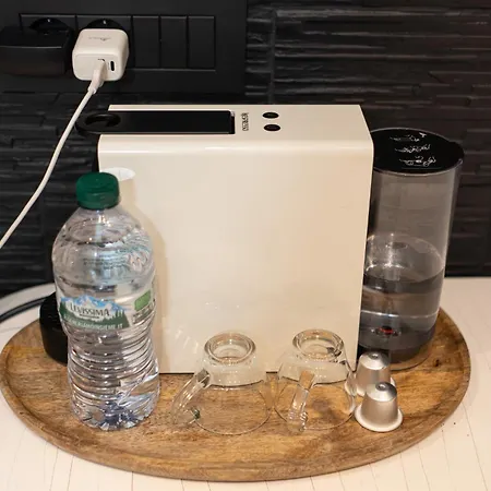 شقة Lingotto Penthouse