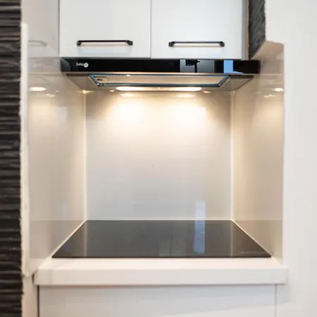 Appartement Lingotto Penthouse *